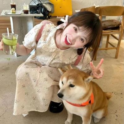 选个家来爱